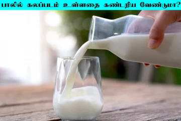 பாலில் கலப்படம் இருப்பதை ஈஸியாக கண்டுபிடிக்கலாம்... இந்த 3 முறைகளை தெரிஞ்சிக்கோங்க