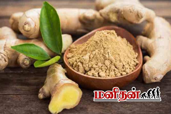 உடல் எடையை 2 வாரத்திலேயே குறைக்க, ஒரு துண்டு இஞ்சியை இப்படி பயன்படுத்துங்க...! | Benefits Of Ginger In Weight Loss And How