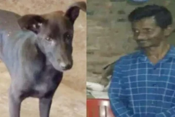 காட்டில் காணாமல் சென்ற நபர்! வெகுநேரம் குறைத்துக் கொண்டிருந்த நாய்: இறுதியில் கண்ட இன்பஅதிர்ச்சி