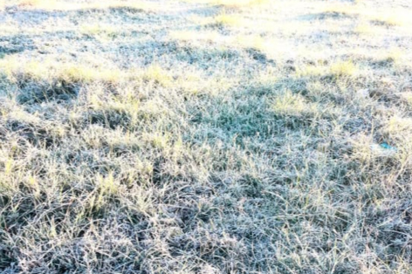 இலங்கையில் 25 ஆண்டுகளின் பின்னர் ஏற்பட்ட காலநிலை மாற்றம் | Climate Change In Sri Lanka After 25 Years இலங்கையில் 25 ஆண்டுகளின் பின்னர் ஏற்பட்ட காலநிலை மாற்றம் | Climate Change In Sri Lanka After 25 Years