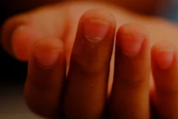 ජිවිත 07ක් නැති කළ දැවැන්ත කොහොඹ ගස..