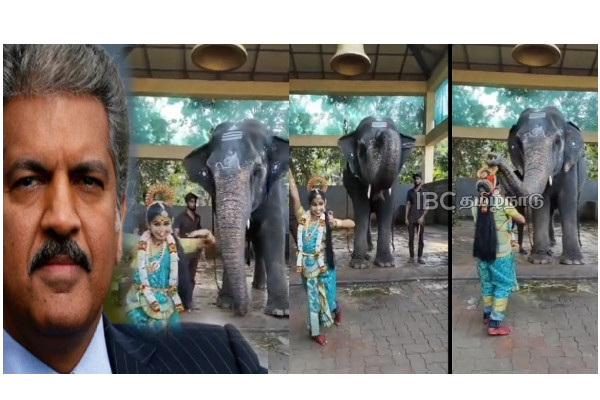 anand-mahindra-temple-elephant-blessing-new-year