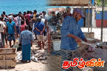 அம்பாறையில் பிடிபடும் சூரை மீன்கள்... விண்ணை தொட்ட கடற்றொழிலாளர்களின் வருமானம்!