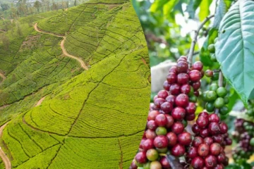 இந்தியா - இலங்கை தொழில்துறையை மேம்படுத்த தனித்தனி தேசிய திட்டம்