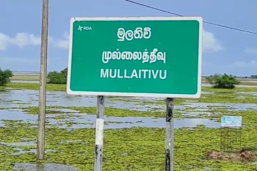 கட்டுத்துப்பாக்கி வெடித்ததில் முல்லைத்தீவு குடும்பஸ்தர் காயம்