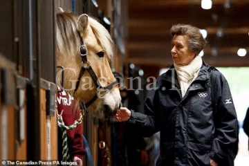 වතුයායේ ඇවිදමින් සිටි කුමරියකට අශ්ව ප්‍රහාරයක්..