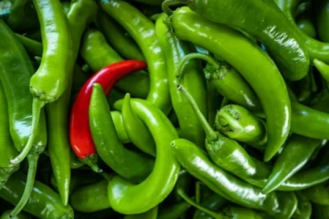 இலங்கையில் எகிறும் பச்சை மிளகாய் விலை