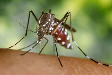 ஒரு கொசுவால் சாகும் நிலைக்குச் சென்ற ஜேர்மன் இளைஞர்., எதிர்கொண்ட நினைத்துப்பார்க்காத கொடுமைகள்