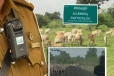 மயிலத்தமடு - மாதவனை பகுதியில் பட்டியில் கட்டப்பட்டிருந்த பசு மீது துப்பாக்கிச் சூடு! பண்ணையாளர்கள் அச்சம்