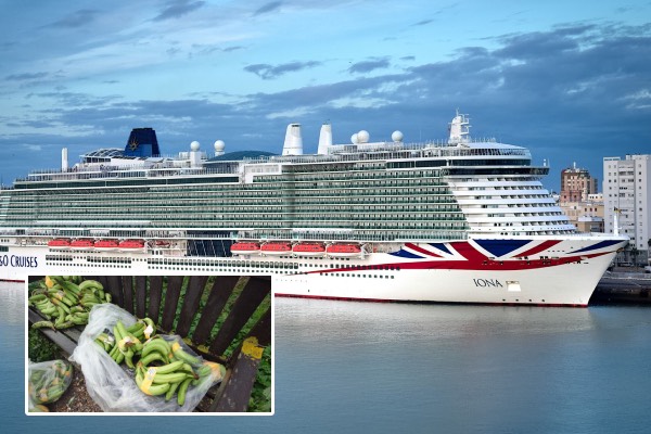 கடலில் விழுந்த வாழைப்பழங்கள்:பிரித்தானியாவில் புறப்படத் தயாரான பயணிகள் கப்பல் நிறுத்தம் | P O Cruises Lona Stopped After Cargo Spills