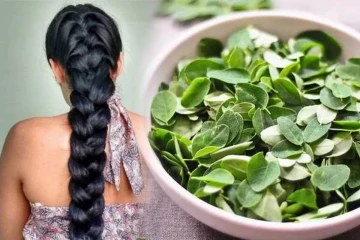 முடியை அடர்தியாக்க முருங்கை இலை.., எப்படி பயன்படுத்துவது?