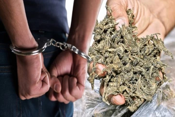 49 கிலோவுக்கும் அதிக கஞ்சா பறிமுதல் - கடற்படையினர் அதிரடி சுற்றிவளைப்பு