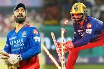 IPL தொடரில் இருந்து ஓய்வு பெற்ற தினேஷ் கார்த்திக் - சோகத்தில் ரசிகர்கள்