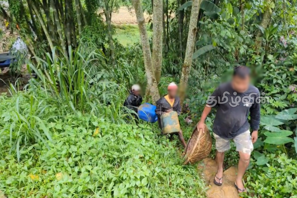 பொகவந்தலாவையில் மாணிக்க கல் அகழ்வில் ஈடுபட்ட மூவர் கைது | Three Arrested For Gem Mining In Bogawantalawa