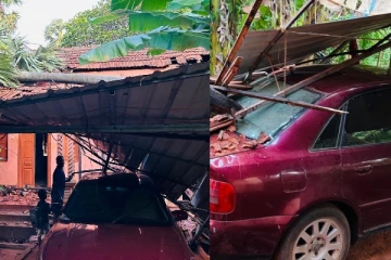 யாழ் குப்பிளானில் பலத்த காற்றால் வீட்டின் மீது விழுந்த பனை மரம்