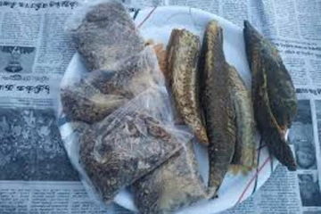 மாசி கருவாட்டின் ஆரோக்கிய நன்மைகள் தெரியுமா? ஆச்சரியம் அளிக்கும் மருத்துவ குணங்கள்