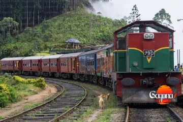 උඩරට අවලංගු වූ මුළු දුම්රිය ගමන් වාර ගණන 42ක්