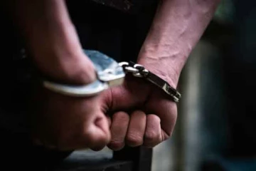 නීතිවිරෝධීව රැගෙන ආ විසිතුරු පැළ තොගයක් සමග ව්‍යාපාරිකයෙකු අත්අඩංගුවට