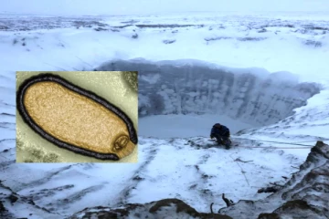 48000 ஆண்டுகளாக பனிக்கு அடியில் தூங்கும் Zombie Virus., விஞ்ஞானிகள் எச்சரிக்கை