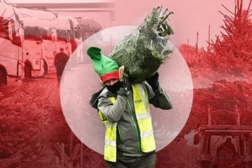 பிரித்தானியாவில் நத்தார் மரங்களுக்கு கடும் தட்டுப்பாடு! - விடுக்கப்பட்டுள்ள எச்சரிக்கை