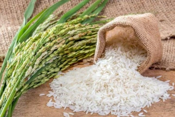 அரிசி விலை குறித்து மக்களுக்கு கிடைத்த மகிழ்ச்சி செய்தி