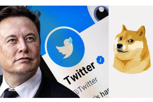 என்ன தான் ஆச்சு எலன் மஸ்கிற்கு - மீண்டும் ட்விட்டர் லோகோ மாற்றம் | Twitter Logo Changes என்ன தான் ஆச்சு எலன் மஸ்கிற்கு - மீண்டும் ட்விட்டர் லோகோ மாற்றம் | Twitter Logo Changes