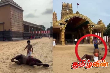 நல்லூர் கந்தன் ஆலயத்தில் இடம்பெற்ற நெகிழ்ச்சி மிக்க சம்பவம்!
