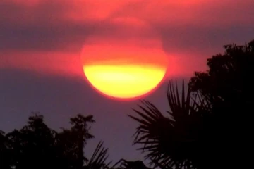 யாழில் தென்பட்ட சூரிய கிரகணம் (Video)