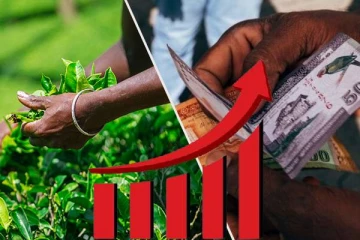 பெருந்தோட்ட தொழிலாளர்களின் அடிப்படை சம்பளம்! மகிழ்ச்சியுடன் நன்றி தெரிவித்த மக்கள்