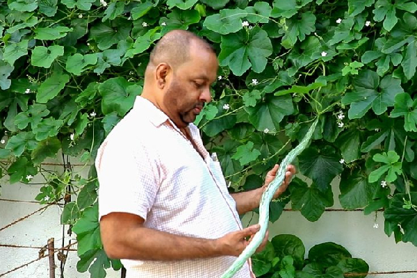 விவசாயத்தில் களமிறங்கிய மஹிந்த! | Mahinda Started In Agriculture