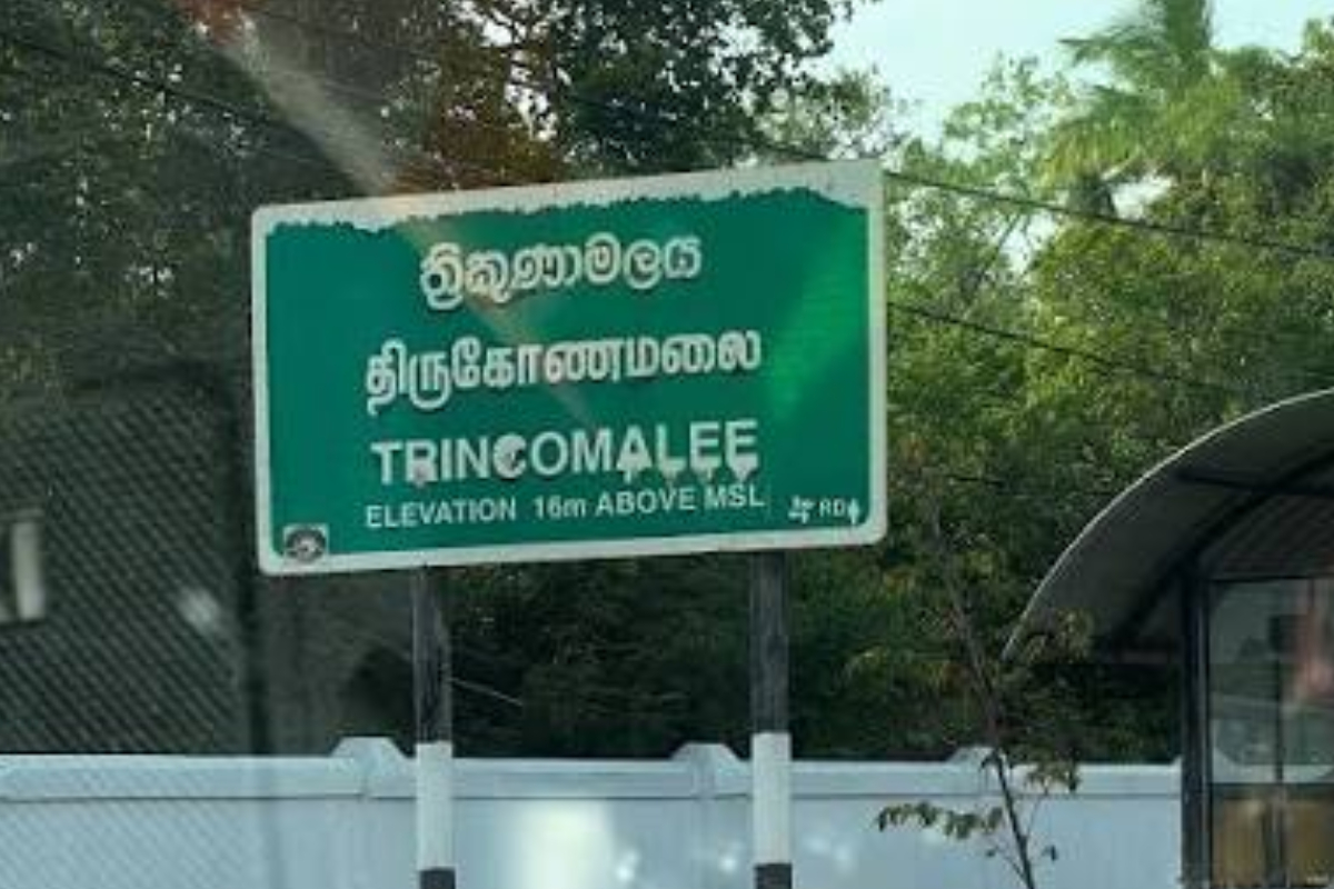 திருகோணமலை மாவட்டத்தில் அரச சேவைகளைப் பெறுவதில் 64.7% பேர் அதிருப்தி - ஆய்வில் தகவல் | Government Service In Trincomalee District திருகோணமலை மாவட்டத்தில் அரச சேவைகளைப் பெறுவதில் 64.7% பேர் அதிருப்தி - ஆய்வில் தகவல் | Government Service In Trincomalee District