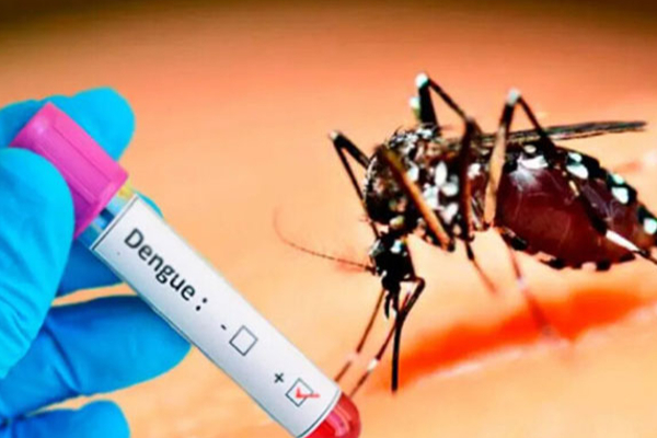 கிளிநொச்சி மாவட்டத்தில் டெங்கு தொற்று | Killinochchi District Effected To Dengue