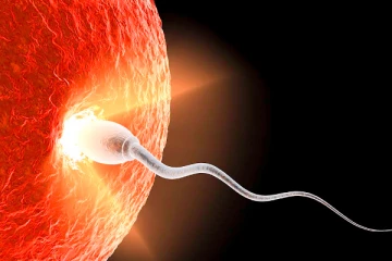 காற்று மாசுபாட்டால் ஆண்களின் உயிரணுக்கள் நீந்துவதில் ஏற்படும் தடை: புதிய சீன ஆய்வில் அதிர்ச்சி தகவல்!