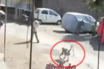 சும்மா சென்ற அப்பாவி முதியவர்! திடீரென அரங்கேறிய தாக்குதல்: வைரல் வீடியோ