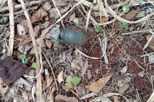 யாழ் புன்னாலைக்கட்டுவனில் கைக்குண்டு; விசேட அதிரடிப் படையினருக்கு நீதிமன்றின் உத்தரவு | Hand Grenade Found In Punnalaikattuvan Jaffna