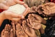 இலங்கையில் ஐவரில் ஒருவர் பட்டினியால் வாடும் அவலம்