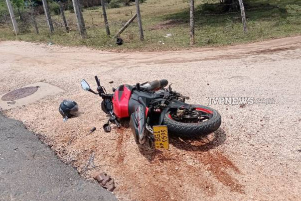 திருகோணமலையில் பாரிய விபத்து: 3 வயது குழந்தை உட்பட நால்வர் வைத்தியசாலையில்! | Nilaveli Two Motor Bike Accident 4 People Hospital