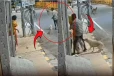 பட்டப்பகலில் அத்துமீறல்: பெண்ணை காப்பாற்றிய தெருநாய்கள்
