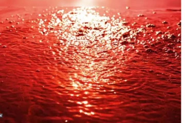 இந்த வாரம் ரத்த மழை பெய்யும் - வானிலை ஆய்வு மையம் அதிகாரப்பூர்வ அறிவிப்பு!