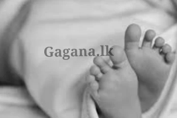 බිලිඳු මළ සිරුරක් ඇළ මාර්ගයකින් හමු වෙයි.