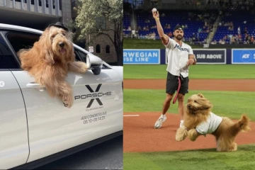 பல கோடிகளில் சம்பாதிக்கும் பிரபல நாய்: முதலாளி மேலாளர் ஆன சுவாரஸ்ய கதை