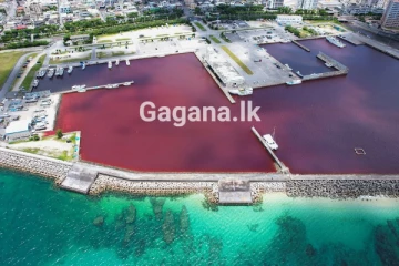 ජපානයේ ඔකිනාවා ලේ පැහැයට හැරෙයි - (PHOTOS)