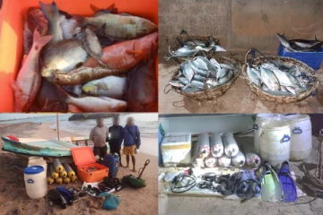 திருகோணமலையில் சட்டவிரோத கடற்றொழில் நடவடிக்கையில் ஈடுபட்ட 10 பேர் கைது!