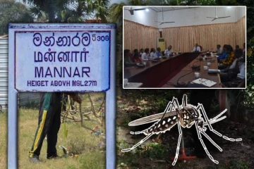 மன்னாரில் டெங்கு நோய் பரவல் : மேற்கொள்ளப்பட்டுள்ள நடவடிக்கை