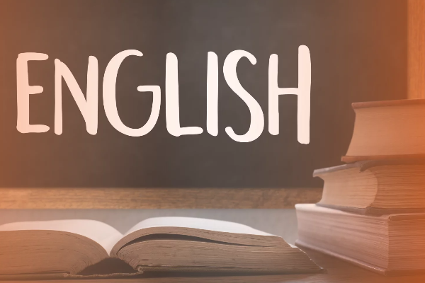 இலங்கையில் கணினி எழுத்தறிவு வீதம் அதிகரிப்பு | Computer Literacy Rate Has Increased In Sri Lanka