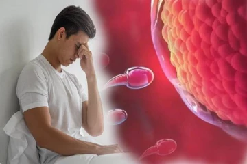 குழந்தை பெற்றுக்கொள்ள ஆண்களுக்கு எத்தனை உயிரணுக்கள் தேவை?