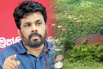 திருகோணமலை எண்ணெய் தாங்கிகளை அபிவிருத்தி செய்ய விரும்பும் அனுர