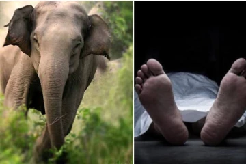 யானையின் தாக்குதலில் குடும்பஸ்தர் ஒருவர் பலி!