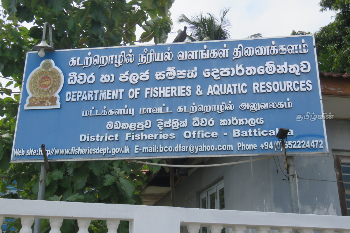 கடலில் மீன்பிடிக்க வீசப்பட்டிருந்த 5 சுருக்கு வலைகள் கடற்படையினரால் மீட்பு | Navy Recovers Five Purse Seine Nets கடலில் மீன்பிடிக்க வீசப்பட்டிருந்த 5 சுருக்கு வலைகள் கடற்படையினரால் மீட்பு | Navy Recovers Five Purse Seine Nets
