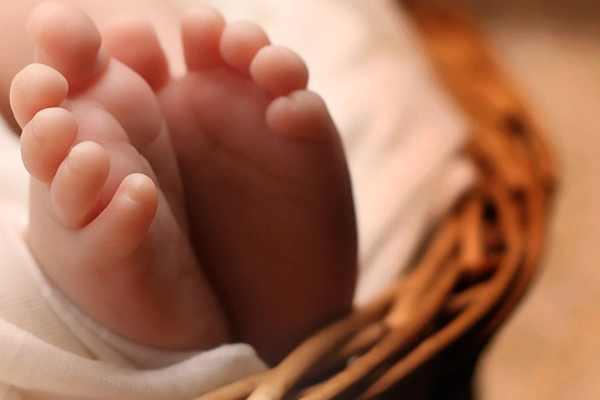 தாய் விசம் வழங்கியதால் பச்சிளம் குழந்தைக்கு நேர்ந்த கதி! | The Fate Of The Infant Due To The Mother S Gift